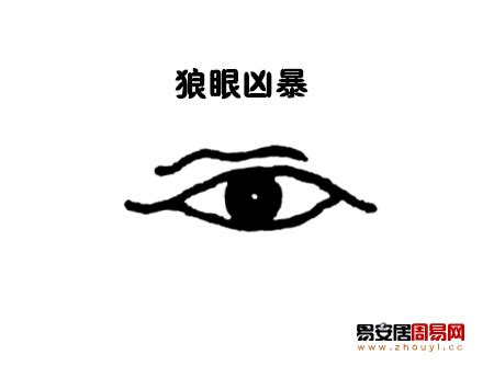 狼眼 面相|狼眼面相图解